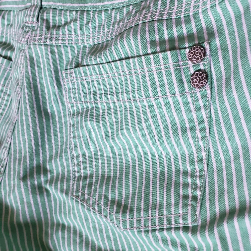 ANTHRO - BICA CHEIA - G&W Pinstripe Bermuda Shorts - Picture 9 of 12